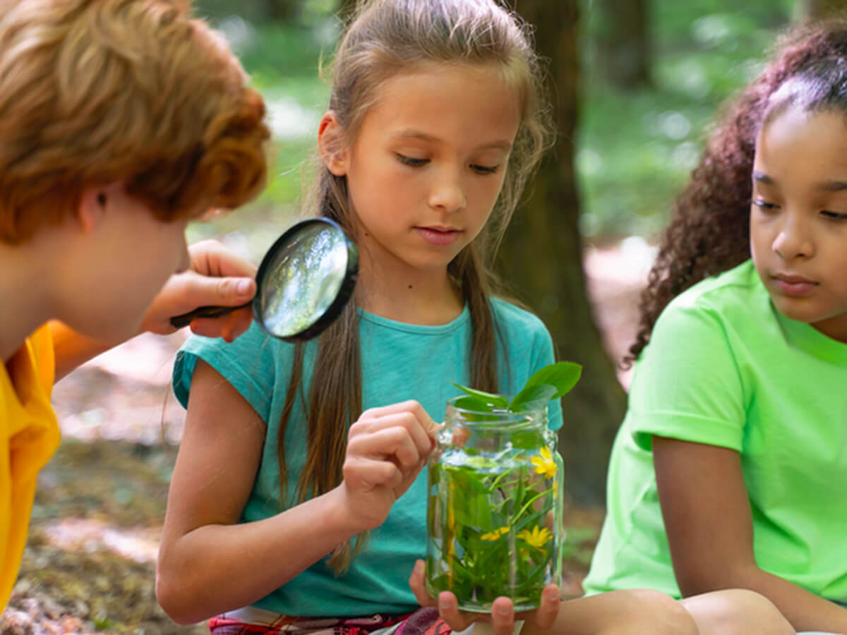 Set your kids up for success at Raphaeli Waldorf School