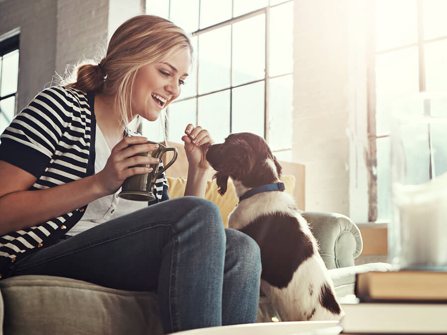 Spreading the love and the wins