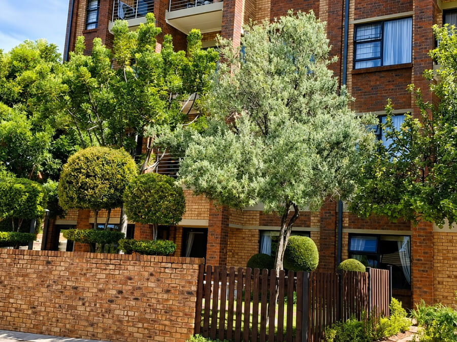 Making the most of your property budget in Olympus